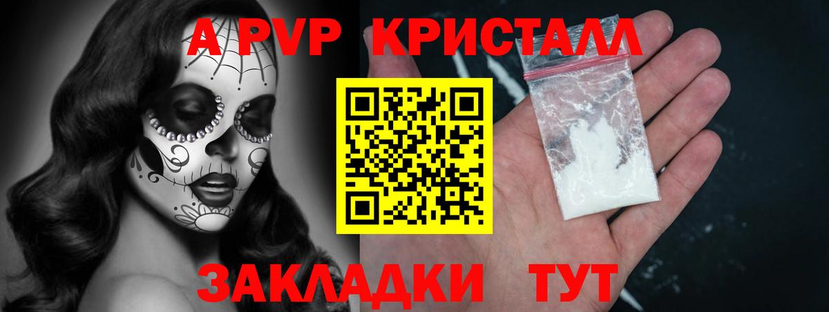 закладки  Вход с VPN  Кисловодск  Альфа ПВП VHQ  Alfa_PVP СК КРИС 