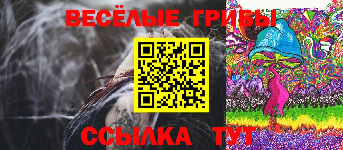 Кисловодск  Галлюциногенные грибы Magic Shrooms  Вход с VPN  наркота  Галлюциногенные грибы Psilocybine cubensis 